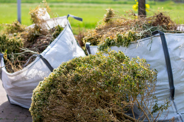 Trusted Bayfield, CO Junk Removal Services Experts