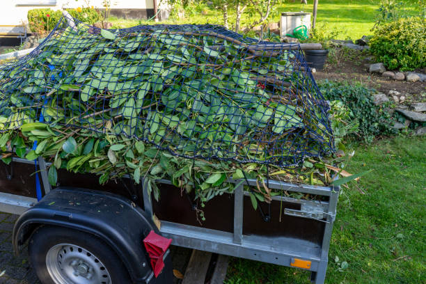 Best Electronics and E-Waste Disposal  in Bayfield, CO